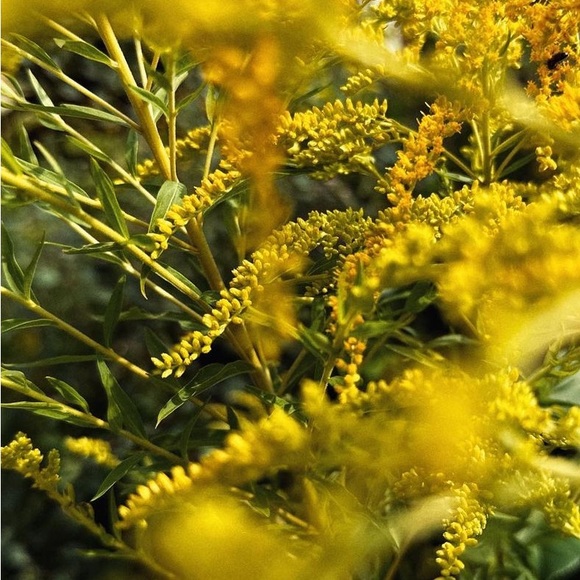 Floral Enamel Butterfly Pin - New - Picture 4 of 4